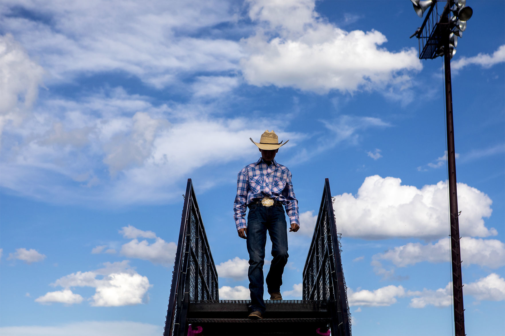 Rodeo gallery
